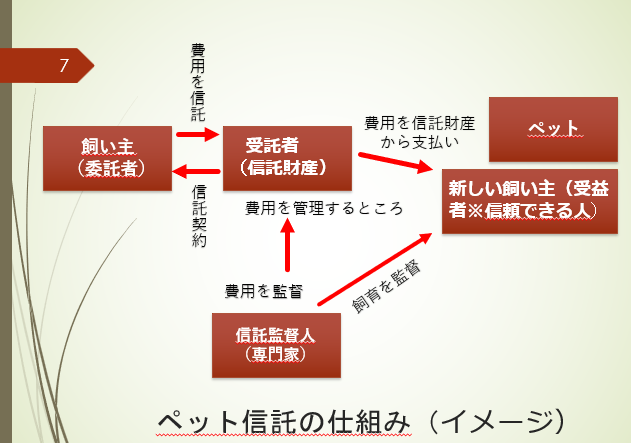 奈良・東大阪の遺言・相続なら｜ラクーンドッグ行政書士事務所｜初回相談無料